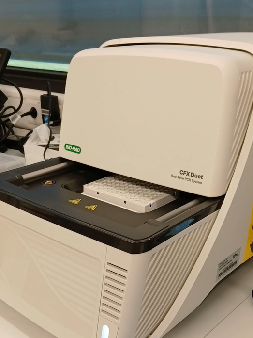 Vorbereitete qPCR-Platte in der Maschine